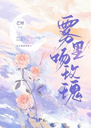 了了无几什么意思