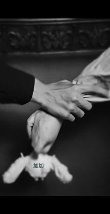 成为瓶子树精那些年 凤羽零落