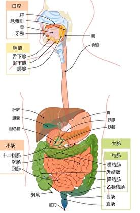高岭之花失忆后GB免费阅读