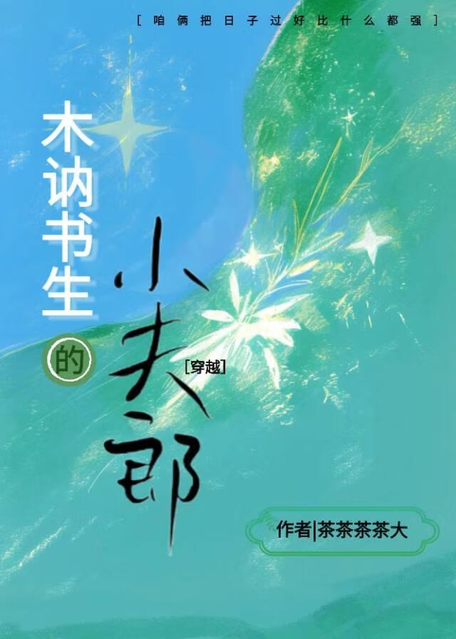 木讷书生的小夫郎