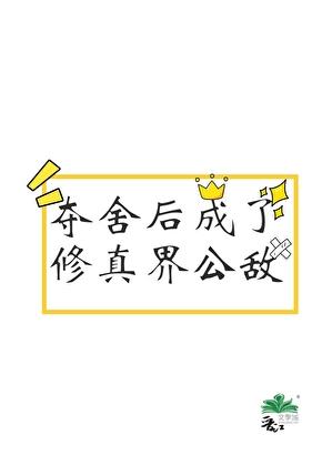 夺舍后成了修真界公敌